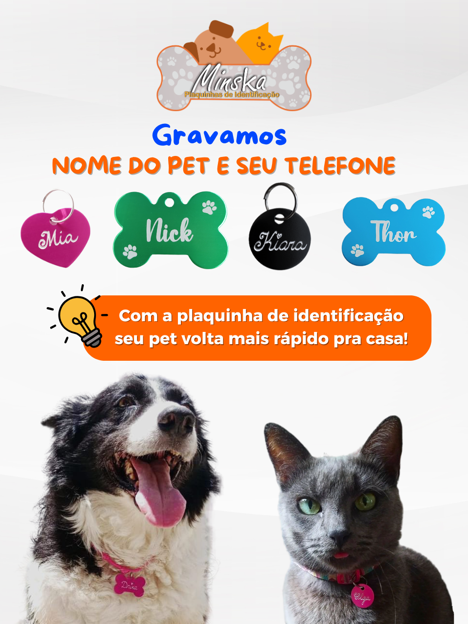 Plaquinhas de identificação pet